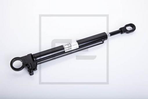 Hydraulikzylinder 20 x 42 x 593 