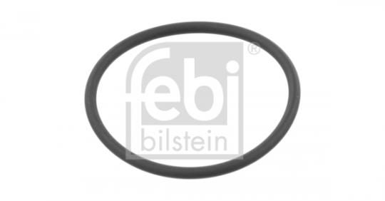 O-Ring 