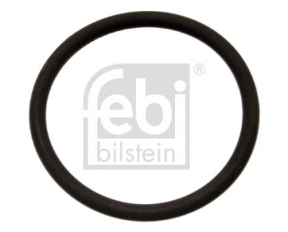 O-Ring 