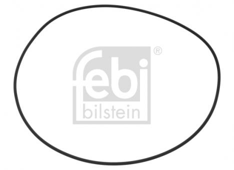 O-Ring 