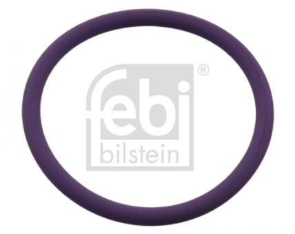 O-Ring 
