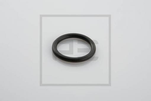 O Ring 31,0 x 4,5 