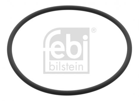 O-Ring 