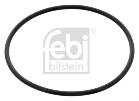 O-Ring 