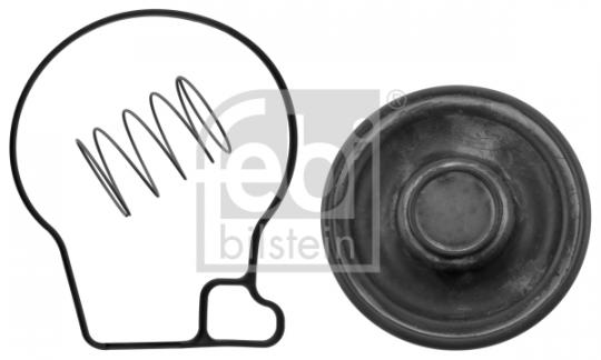 Membrane 