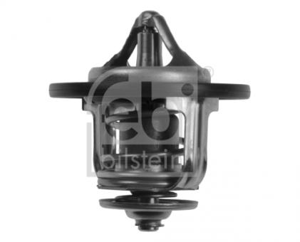 Thermostat 
