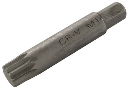 Bit Innenvielzahn, M14, 10 (3/8), 75 mm 