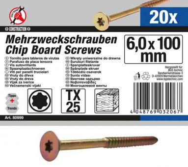 Mehrzweckschrauben, 6,0x100 mm, T25, 20-tlg 