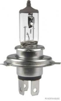 Glühlampe 