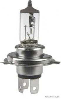Glühlampe 