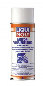 Motor-Versiegelung 