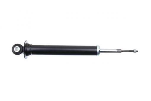 GASSTOSSDAEMPFER 