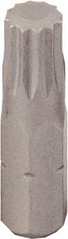 1/4&#34; Bit L25 mm Vielzahn M8 
