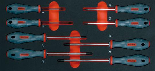 Schraubendreher Einlage &#34;TORX&#34; 8tlg 