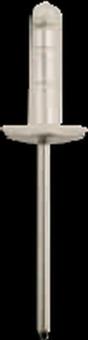 Toyota Dichtniete  12,1 mm Flansch,  10 Stk. 