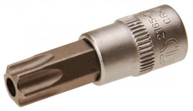 Bit-Einsatz, T-Profil mit Bohrung, 6,3 (1/4), T50 