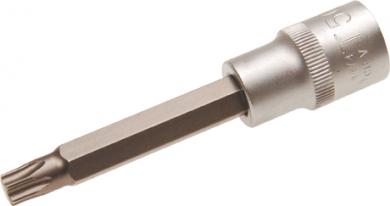 Spezial-Einsatz, T-Profil, 12,5 (1/2), o. B., 100 mm lang, T50 