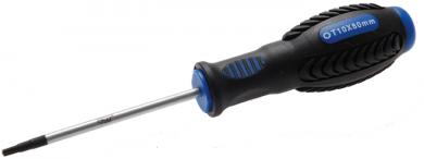 Schraubendreher, T10 x 80 mm 