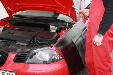 Kotflügelschoner m. Magneten 