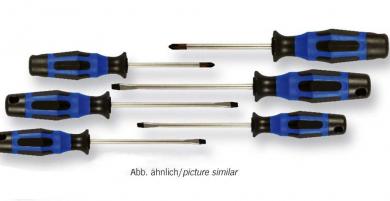 Schraubendreher Satz 6tlg (PH+Schlitz) 