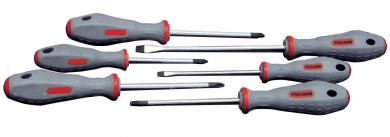 Schraubendreher Satz 6tlg (PH+Schlitz) 