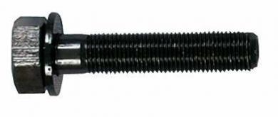 Ersatzschraube M10 f&#252;r Schraublocher 32mm und 35mm 