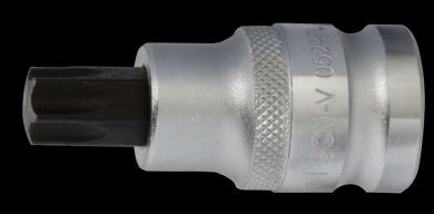 T-Profil-Einsatz T25 x 53 12,5 mm  (1/2") Antrieb kurz  