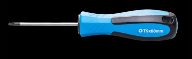 Schraubendreher T-Profil T9 x 60 mm 