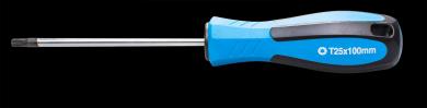 Schraubendreher T-Profil T25 x 100 mm 
