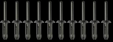 Kunststoff-Nieten 6,3 x 25,2 mm 10 Stück 